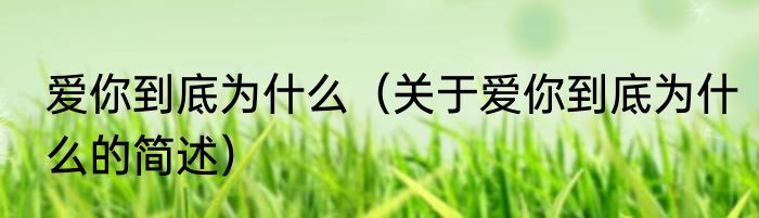 爱你到底为什么（关于爱你到底为什么的简述）