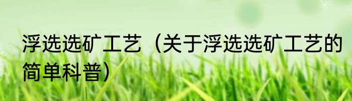 浮选选矿工艺（关于浮选选矿工艺的简单科普）
