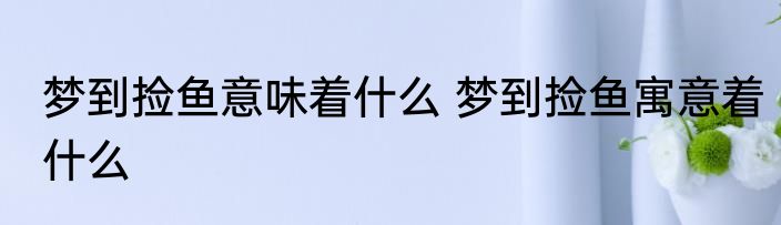 梦到捡鱼意味着什么 梦到捡鱼寓意着什么