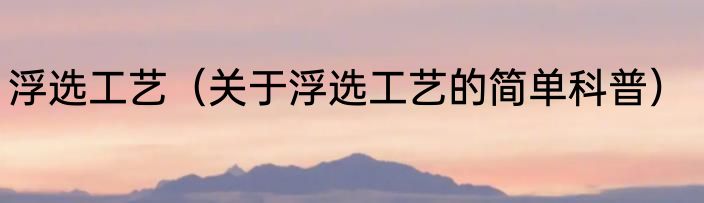 浮选工艺（关于浮选工艺的简单科普）