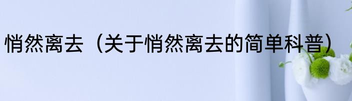 悄然离去（关于悄然离去的简单科普）