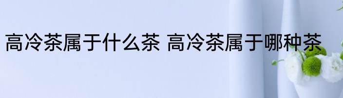 高冷茶属于什么茶 高冷茶属于哪种茶