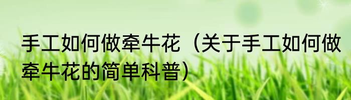手工如何做牵牛花（关于手工如何做牵牛花的简单科普）
