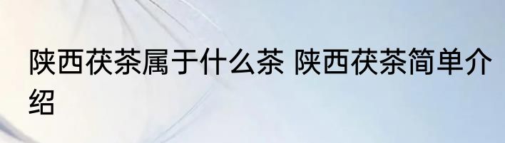 陕西茯茶属于什么茶 陕西茯茶简单介绍