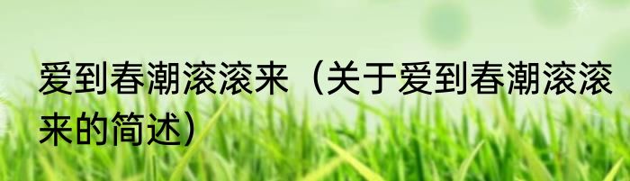 爱到春潮滚滚来（关于爱到春潮滚滚来的简述）