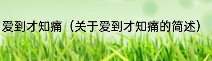 爱到才知痛（关于爱到才知痛的简述）