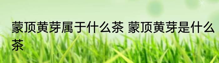 蒙顶黄芽属于什么茶 蒙顶黄芽是什么茶