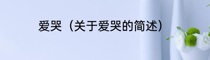 爱哭（关于爱哭的简述）