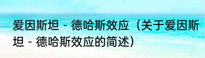 爱因斯坦－德哈斯效应（关于爱因斯坦－德哈斯效应的简述）
