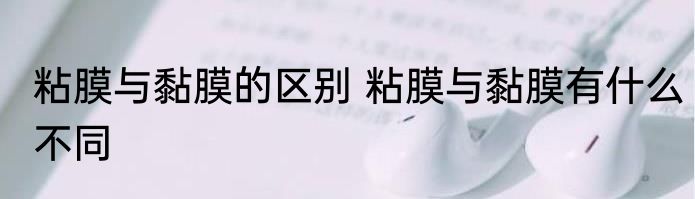粘膜与黏膜的区别 粘膜与黏膜有什么不同