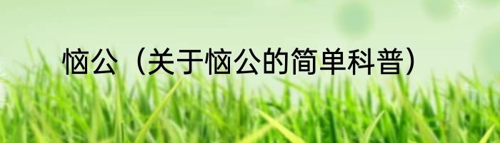 恼公（关于恼公的简单科普）