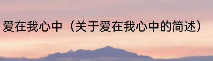 爱在我心中（关于爱在我心中的简述）