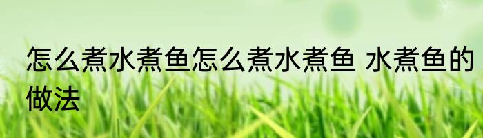怎么煮水煮鱼怎么煮水煮鱼 水煮鱼的做法
