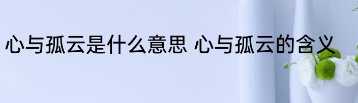 心与孤云是什么意思 心与孤云的含义
