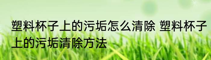 塑料杯子上的污垢怎么清除 塑料杯子上的污垢清除方法