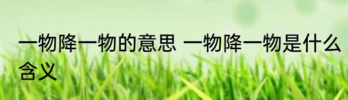 一物降一物的意思 一物降一物是什么含义