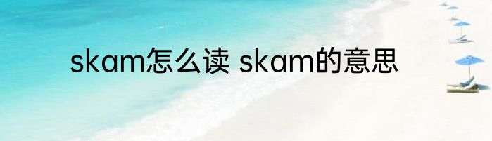 skam怎么读 skam的意思