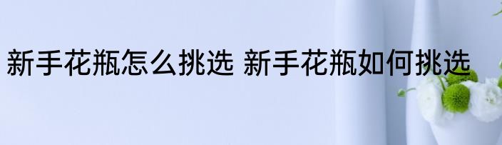 新手花瓶怎么挑选 新手花瓶如何挑选