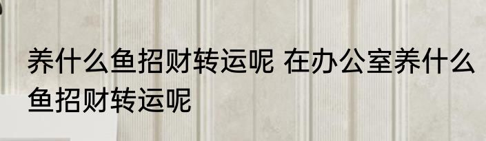 养什么鱼招财转运呢 在办公室养什么鱼招财转运呢