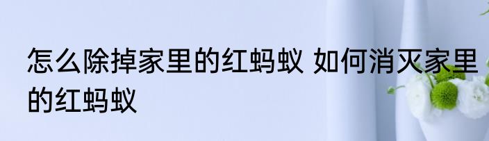 怎么除掉家里的红蚂蚁 如何消灭家里的红蚂蚁