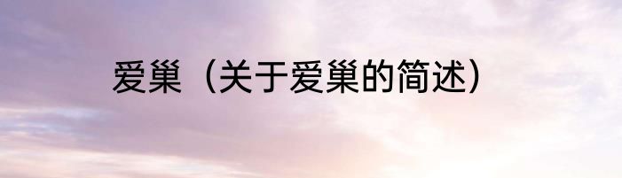 爱巢（关于爱巢的简述）