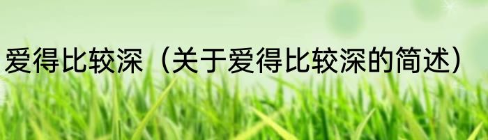 爱得比较深（关于爱得比较深的简述）