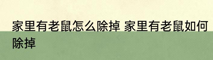 家里有老鼠怎么除掉 家里有老鼠如何除掉