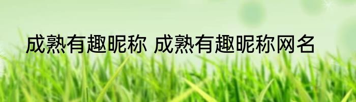 成熟有趣昵称 成熟有趣昵称网名