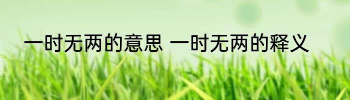一时无两的意思 一时无两的释义