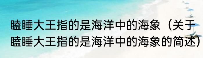瞌睡大王指的是海洋中的海象（关于瞌睡大王指的是海洋中的海象的简述）