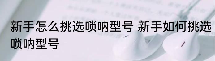 新手怎么挑选唢呐型号 新手如何挑选唢呐型号
