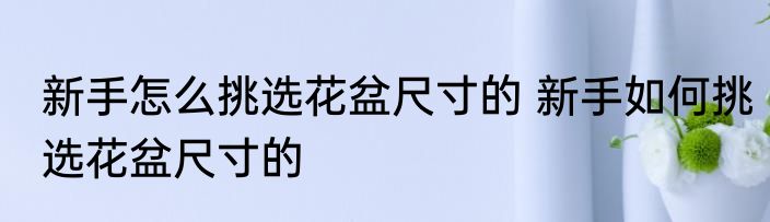 新手怎么挑选花盆尺寸的 新手如何挑选花盆尺寸的