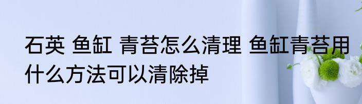 石英 鱼缸 青苔怎么清理 鱼缸青苔用什么方法可以清除掉