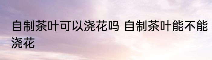 自制茶叶可以浇花吗 自制茶叶能不能浇花