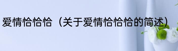 爱情恰恰恰（关于爱情恰恰恰的简述）