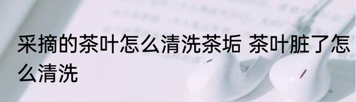 采摘的茶叶怎么清洗茶垢 茶叶脏了怎么清洗