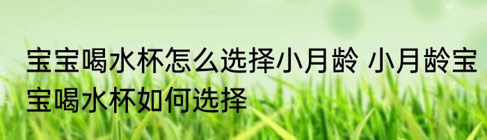 宝宝喝水杯怎么选择小月龄 小月龄宝宝喝水杯如何选择