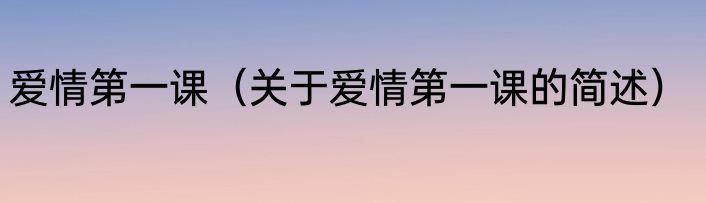 爱情第一课（关于爱情第一课的简述）