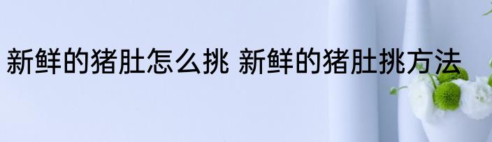 新鲜的猪肚怎么挑 新鲜的猪肚挑方法