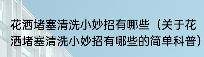 花洒堵塞清洗小妙招有哪些（关于花洒堵塞清洗小妙招有哪些的简单科普）