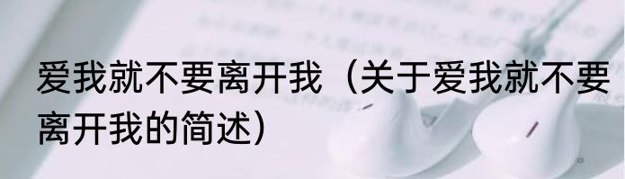 爱我就不要离开我（关于爱我就不要离开我的简述）