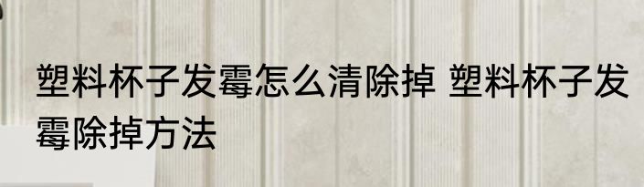 塑料杯子发霉怎么清除掉 塑料杯子发霉除掉方法