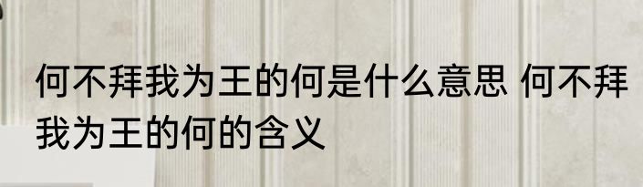 何不拜我为王的何是什么意思 何不拜我为王的何的含义