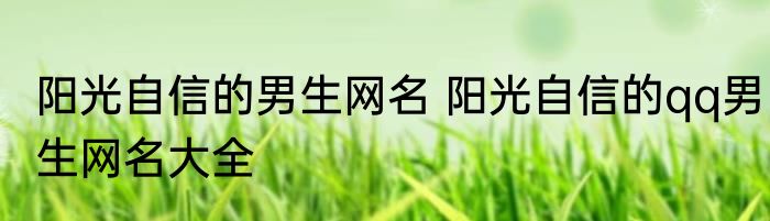 阳光自信的男生网名 阳光自信的qq男生网名大全