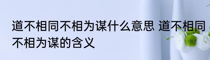 道不相同不相为谋什么意思 道不相同不相为谋的含义
