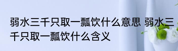 弱水三千只取一瓢饮什么意思 弱水三千只取一瓢饮什么含义