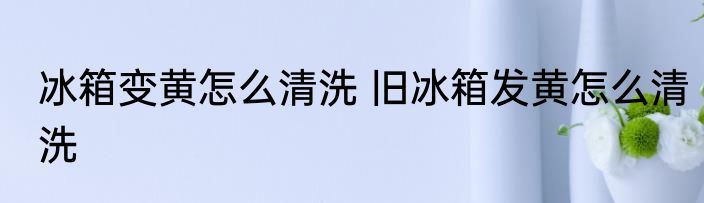 冰箱变黄怎么清洗 旧冰箱发黄怎么清洗