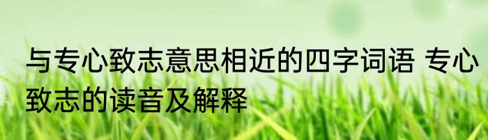 与专心致志意思相近的四字词语 专心致志的读音及解释