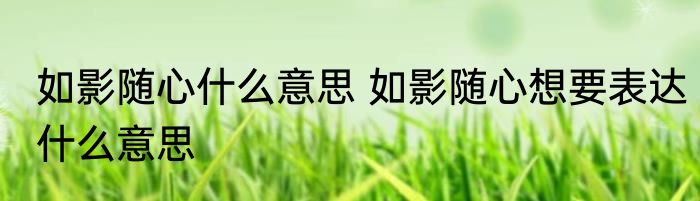 如影随心什么意思 如影随心想要表达什么意思