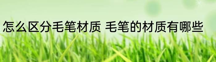 怎么区分毛笔材质 毛笔的材质有哪些